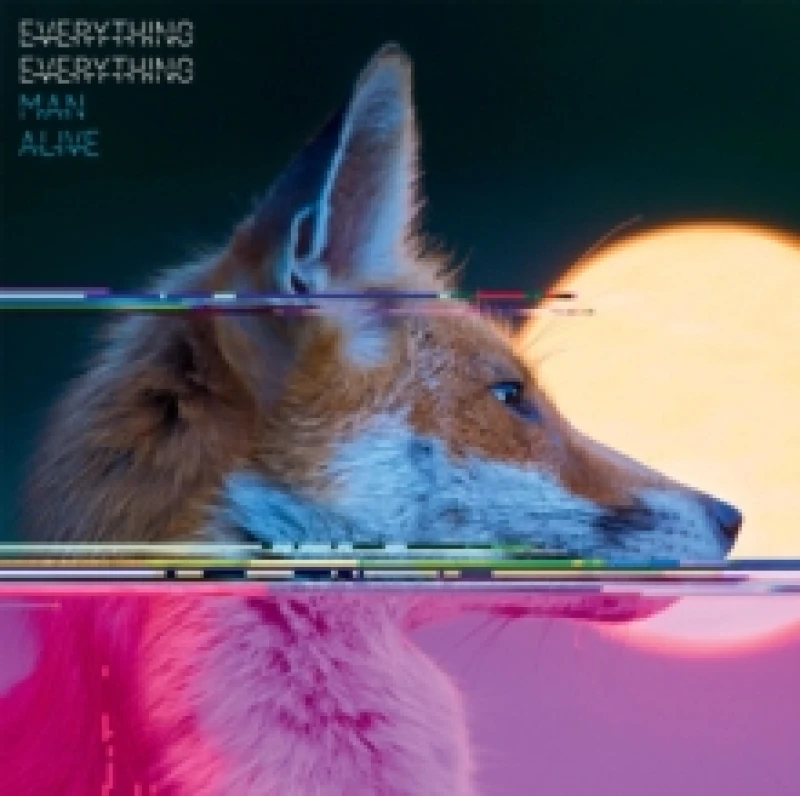 Image of Everything Everything Man Alive LP Black unisex