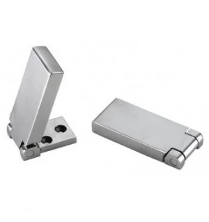 Image of Flush Tall Hinges in Stainless Steel Grade 316