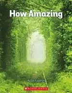 Image of CONNECTORS SAPPHIRE PACK