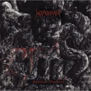 Image of Hierophant - Spawned Abortions Vinyl