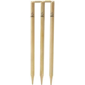 Image of Readers Match Cricket Stumps - Boys 25"