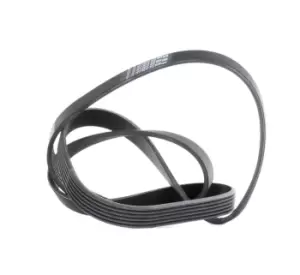 Image of CONTITECH V-ribbed belt VW,AUDI,BMW 6PK1555 06D903137F,11281427250,11281437368 11281437929,11281703561,11281726689,11287516181,11287529738,11287544786