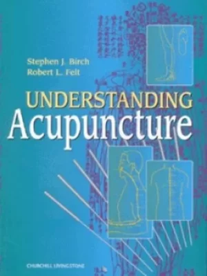 Image of Understanding acupuncture by Stephen Birch