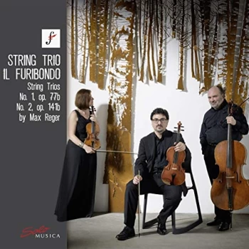 Image of String Trio il Furibondo - Max Reger: String Trios No. 1, Op. 77b/No. 2, Op. 141b CD
