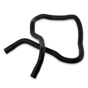 Image of SASIC Radiator Hose 3406261 Coolant Hose VW,AUDI,SKODA,Golf IV Schragheck (1J1),Golf IV Variant (1J5),A3 Schragheck (8L1),OCTAVIA (1U2)