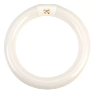 Image of RVFM FC8T9840 22W Circular Cool White Tube 210mm
