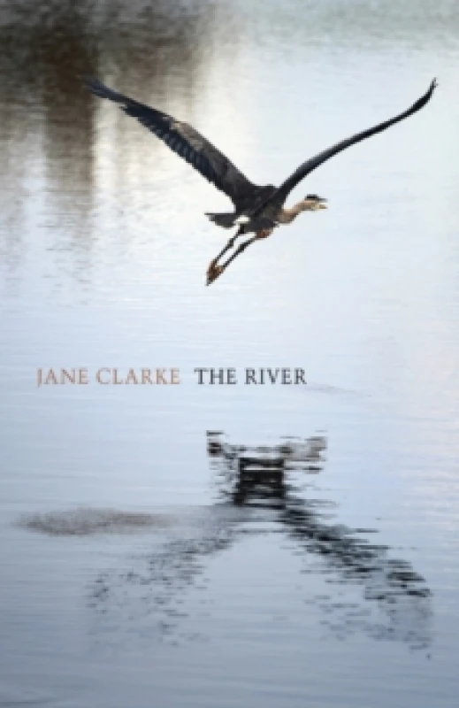 Image of The River Paperback / softback