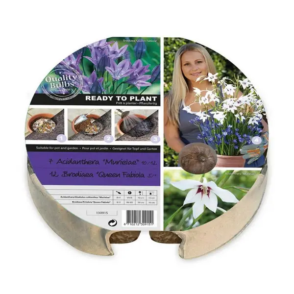 Image of YouGarden Plant-O-Mat Acidanthera and Brodiaea Kit 1 pack Multi 40853199001