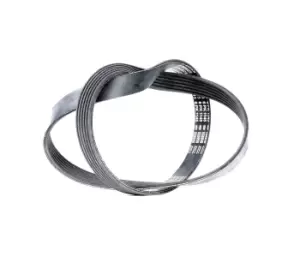 Image of Bosch V-ribbed belt VW,FORD,RENAULT 1 987 947 943 028260849D,028260849L,5750K0 90916W2023,46798891,028260849D,1135719,7198530,95VW6C301AA,117204P10A