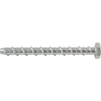 Image of Rawl - Hex Head Concrete Bolt 12.5X75 R-LX-10X075-H-ZP- you get 5