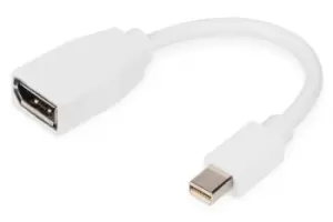 Image of Digitus DisplayPort adapter cable, mini DP - DP