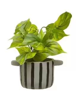 Image of Premier Housewares Fiori Devils Ivy Plant In Striped Pot