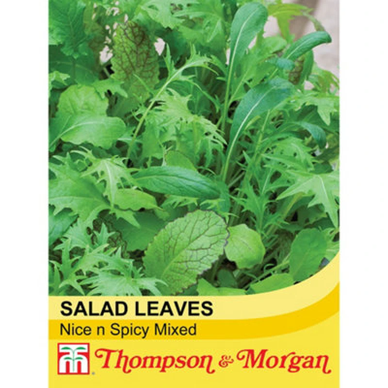 Image of Thompson & Morgan Salad Leaves Nice & Spicy Mixed 1 Seed Packet (250 Seeds)