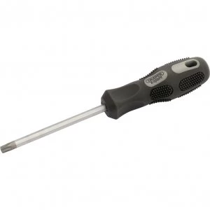 Image of Draper Expert Security Torx Screwdriver T40 115mm