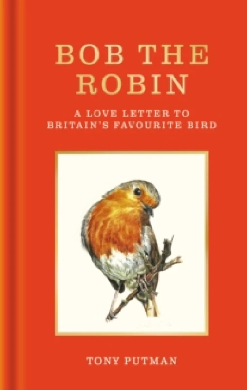 Image of Bob the Robin : A true story of the friendship between one man and Britain's favourite garden bird Hardback