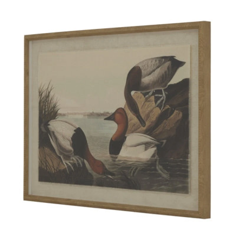 Image of Flora & Fauna Collection Pochards On Linen In Beaded Frame