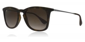 Image of Ray-Ban RB4221 Sunglasses Tortoise 865/13 50mm