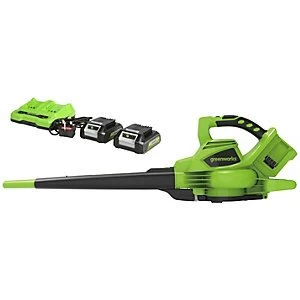 Image of Greenworks 48v (2 X 24V) Blow & Vac C/w 2 x 4ah Battery & Charger