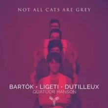 Image of Quatuor Hanson: Not All Cats Are Grey