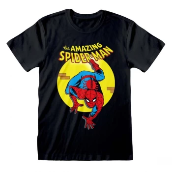 Image of Marvel Comics Spider - Amazing Spider-Man Unisex Medium T-Shirt - Black