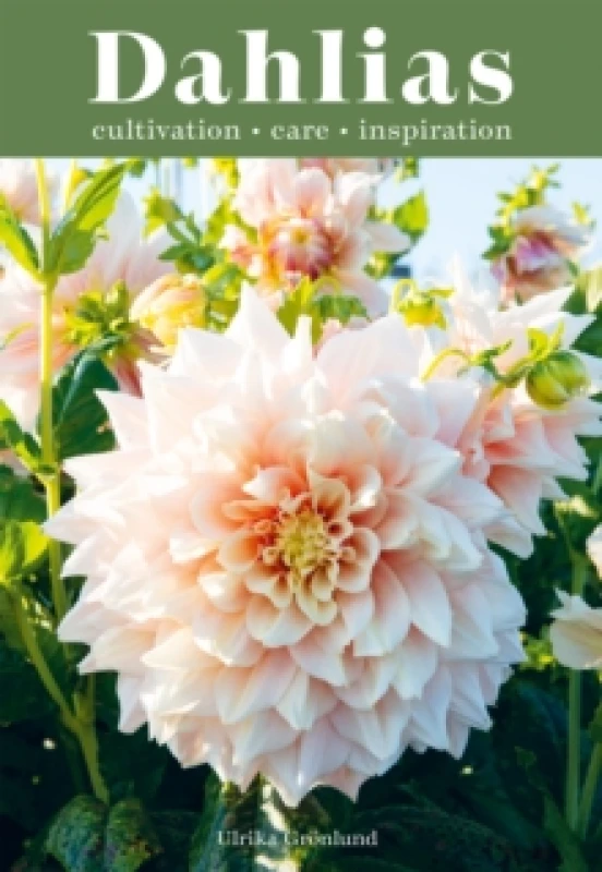 Image of Dahlias : Inspiration, Cultivation and Care for 222 Varieties Hardback