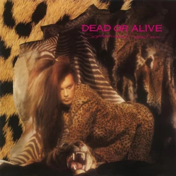 Image of Dead Or Alive - Sophisticated Boom Boom Vinyl
