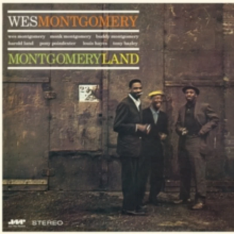 Image of Montgomeryland Vinyl