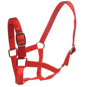 Image of Roma Headcollar and Lead Rope Set - Red