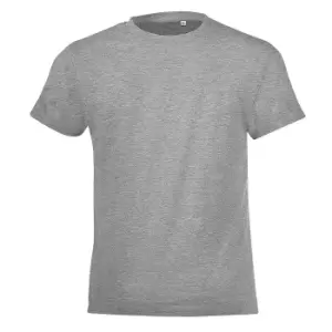 Image of SOLS Childrens/Kids Regent Short Sleeve Fitted T-Shirt (10 Years) (Grey Marl)