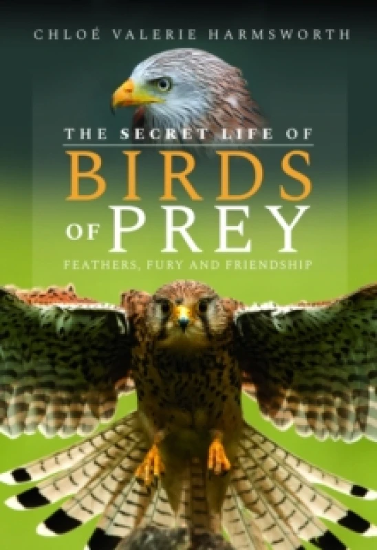 Image of The Secret Life of Birds of Prey : Feathers, Fury and Friendship Hardback