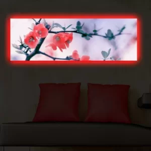 Image of 3090DACT-48 Multicolor Decorative LED Lighted Canvas Painting