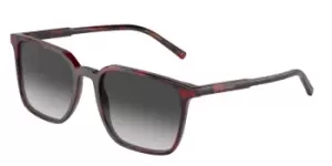 Image of Dolce & Gabbana Sunglasses DG4424 33588G