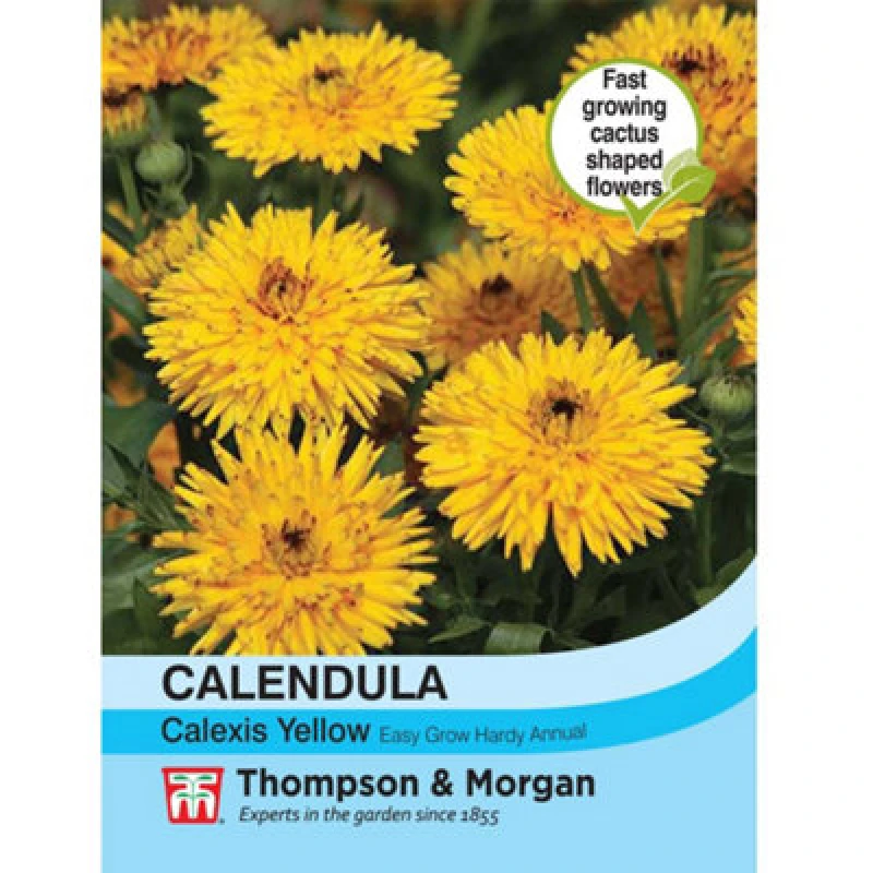 Image of Thompson & Morgan Calendula Officinalis Calexis Yellow 1 Seed Packet (50 Seeds)