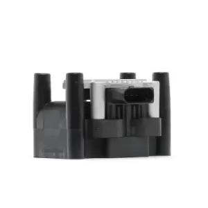 Image of RIDEX Ignition coil 689C0406 Coil pack,Ignition coil pack VW,AUDI,SKODA,Golf IV Schragheck (1J1),Golf V Schragheck (1K1),POLO (9N_),TOURAN (1T1, 1T2)