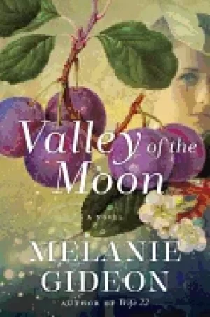 Image of valley of the moon a novel