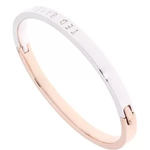 Image of Ted Baker Ladies Two-Tone Steel and Rose Plate Clemea Hinge Metallic Bangle TBJ1569-27-03