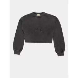 Image of Skinny Dip Corset Sweatshirt - Grey