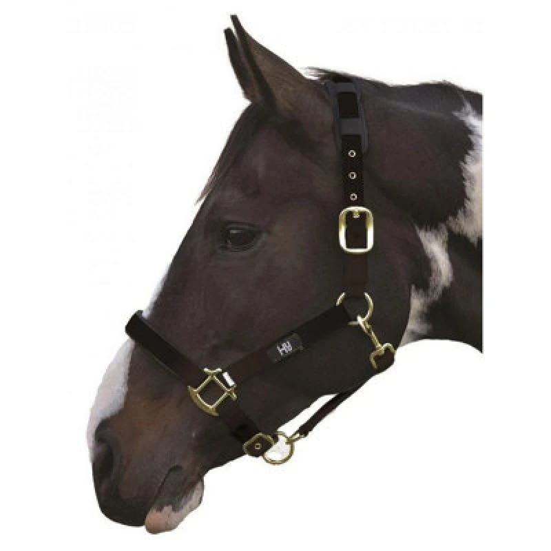 Image of Hy Deluxe Padded Head Collar Black (Xs)