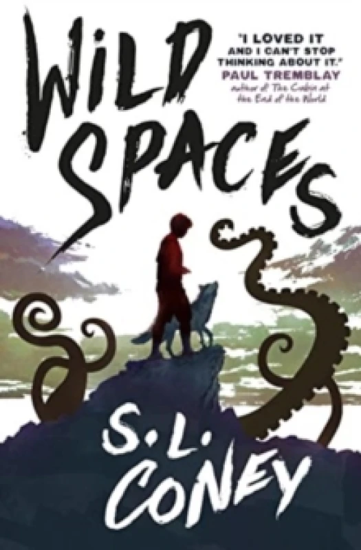 Image of Wild Spaces Paperback / softback