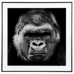 Image of Decor Picture Square Large Gorilla