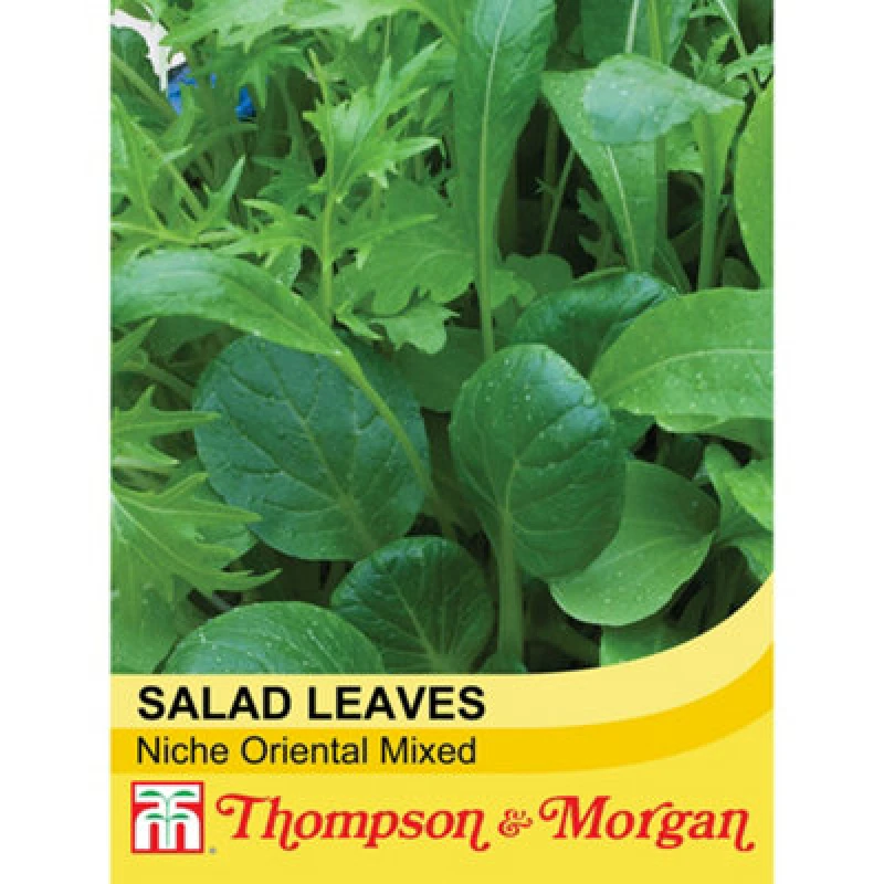 Image of Thompson & Morgan Salad Leaves Niche Oriental Mixed 1 Seed Packet (500 Seeds)