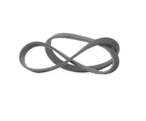 Image of DAYCO V-ribbed belt VW,AUDI,FORD 6DPK1195 06A260849,06A260849B,06A260849C 06A260849E,6C260849C,1111928,98VW6A359CA,06A260849B,06A260849C,06A260849E