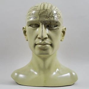 Image of Phrenology Head Sculpture H20cm