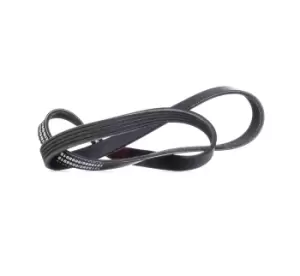 Image of RIDEX V-ribbed belt 305P0164 Serpentine belt,Auxiliary belt BMW,FIAT,TOYOTA,5 Limousine (E39),5 Touring (E39),X5 (E53),7 (E38),8 (E31),TIPO (160)