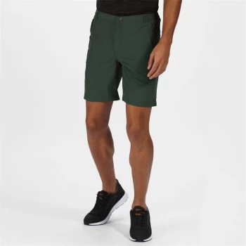 Image of Regatta Leesville II Shorts - Green