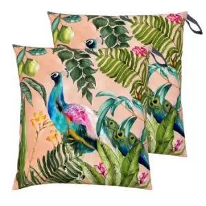 Image of Peacock Large 70cm Outdoor Floor Twin Pack Cushion Blush