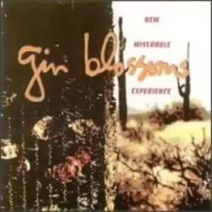Image of Gin Blossoms - New Miserable Experience CD Album - Used