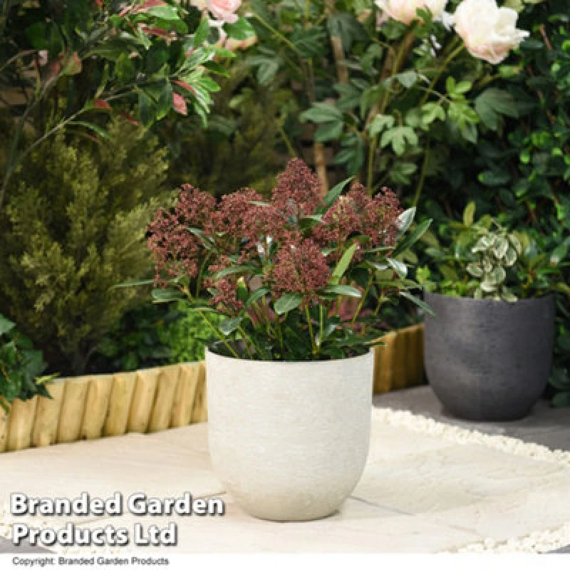 Image of Garden Gear Stone Effect Garden Planter In Ivory For Outdoor Patio, Weatherproof Plastic (X3)