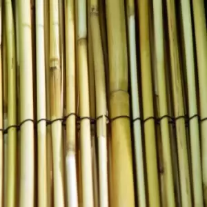 Image of Garden Reed / Read Screening 1m x 3m (325mm)