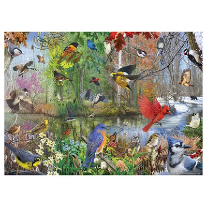 Image of Cheatwell Games Birds of the Season Jigsaw Puzzle 1000 Pieces Multi
